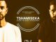 Kid Fonque & D-Malice – Tshamiseka (Sean Munnick Remix)