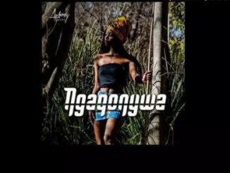 Blaq Diamond – Ngaqonywa