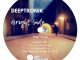 EP: DeepTronik – Bright Side (Zip File)