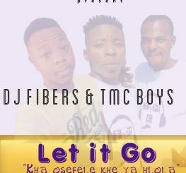 Dj Fibers & TMC Boys - Let It Go