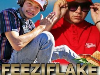 FeeziFlake ChapterFix 3.1 Live at ClubHaze 12.01.2019 (final set)