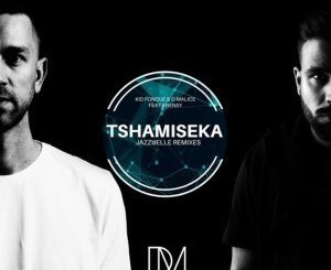 Kid Fonque & D-Malice, Khensy – Tshamiseka (Jazzuelle Remixes)