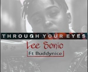 Lee Sonic – Through Your Eyes (Remixes Part1) Ft. Buddynice