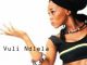 Brenda Fassie – Vulindlela