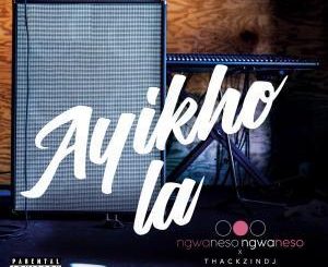 Ngwaneso Ngwaneso & ThackzinDJ - Ayikho La