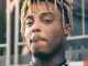 Juice WRLD – Billy Idol (Mary Jane)