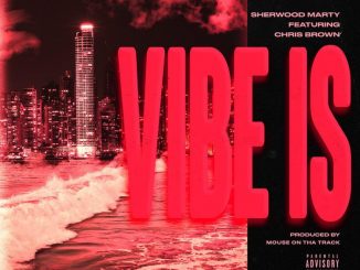 Sheerwood Marty ft. Chris Brown – Vibe Is