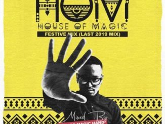 Fanzo Magic-Hand – H.O.M 26 (Festive Mix)