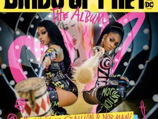 Megan Thee Stallion Ft. Normani – Diamonds