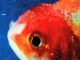 ALBUM: Vince Staples - Big Fish Theory