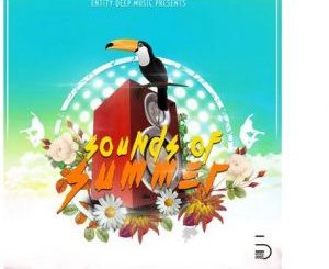 ALBUM: Entity Deep Music Presents Sounds Of Summer