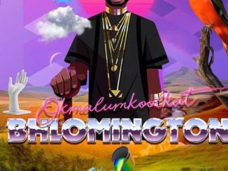 Okmalumkoolkat – iNkuzi