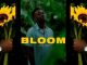 Sipho the Gift – Bloom