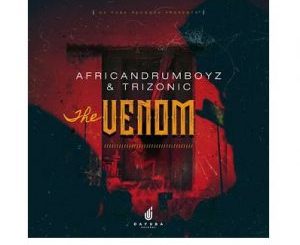 African Drumboyz & Trizonic - The Venom