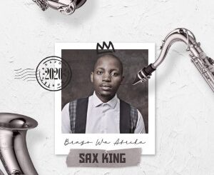 Brazo Wa Afrika – Sax King