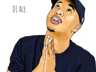 DJ Ace – Peace of Mind Vol 14 (Back to Back Mix)