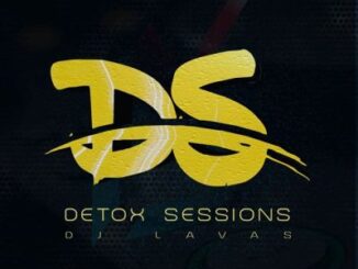 LAVAS – Detox Sessions 031 (Piano Throw Back Mix)