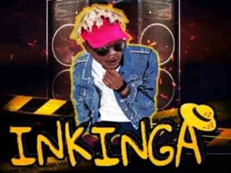 MalumNator – Inkinga