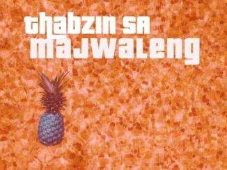 Thabzin SA – Majwaleng