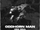 Vida Soul – Oddhorn Man