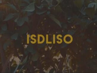 DJ Melzi – Isdliso Ft. Mkeyz