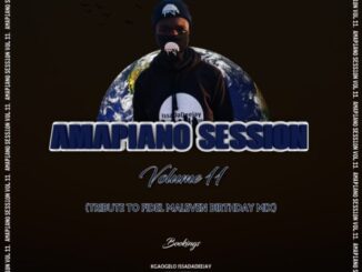 IssaDaDeejay – AmapianoSession Vol 11 (Tribute To Fidel Maleven Birthday Celebration Mix)