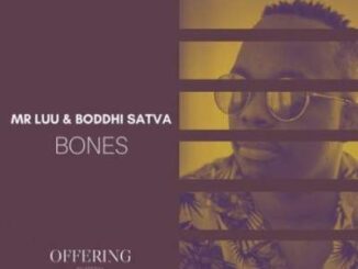 Mr Luu – Bones Ft. Boddhi Satva