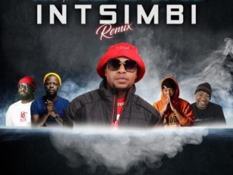 Stan B – Intsimbi Ft. PDot O, Tswyza, Blaklez & N’veigh