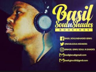 Basil SoulnShades – From Alex To Tembisa Ft. De JazzmiQdeep, Mtypa, Phami and Tebza The Guitarist