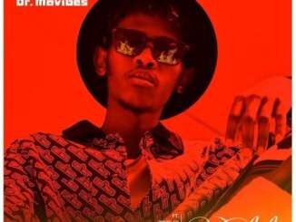 VIDEO: Dr MaVibes – Umlilo Ft. Blaq Diamond, Manny Yack, Snymaan & Brvdley