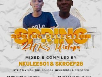 Nkulee 501 – Spring Selection Mix Ft. Skroef28 (Strictly Mdu aka TRP & Bongza)