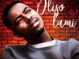 Bhizer – Dliso Lami Ft. Fey M