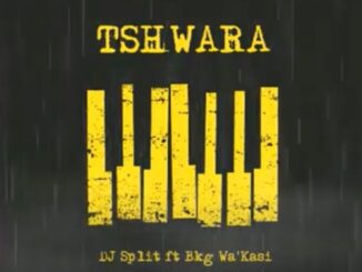 DJ Split – Tshwara Ft. Bkg Wa’Kasi