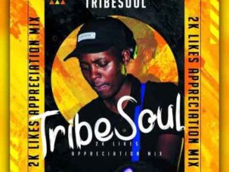 TribeSoul – 2K Appreciation Mixtape