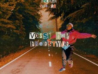 Indigo Stella – Vossi Bop (Freestyle)