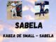 Kabza De Small – Sabela (Unreleased)