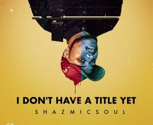 ALBUM: Shazmicsoul – I.D.H.T.Y.