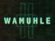 Boohle – Wamuhle Ft. Njelic, Ntokzin & De Mthuda