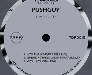 EP: Pushguy – LIMPID