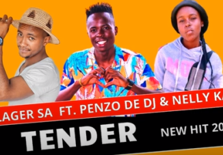 Villager SA – Tender Ft. Penzo De Dj & Nelly Kay