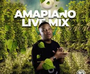 Snow Deep – Amapiano Live Mix