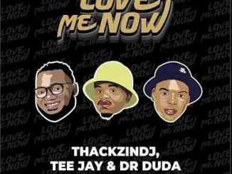 ThackzinDj – Love Me Now Ft. Priscilla , Tee Jay & Dr Duda