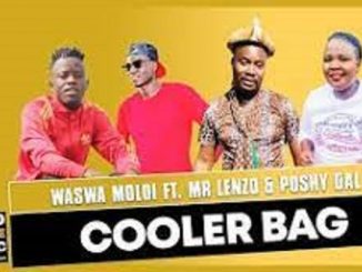 Waswa Moloi – Cooler Bag ft Mr Lenzo & Poshy Gal