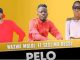 Waswa Moloi – Pelo Ft. Sesi Ma Dessy (Original)