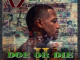 ALBUM: AZ – Doe or Die II