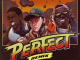 perfect-remix-feat.-lil-wayne-aap-ferg-single-logic