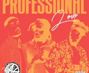 professional-love-single-wstrn