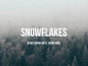 snowflakes-feat.-susan-carol-single-bj-the-chicago-kid