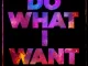 Do-What-I-Want-Single-Kid-Cudi