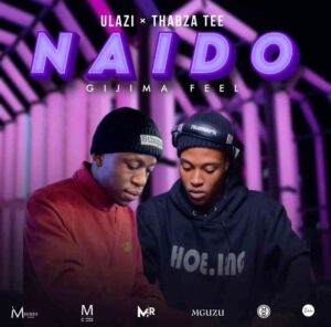 DOWNLOAD-uLazi-Thabza-Tee-–-Naido-Gijima-Feel-–